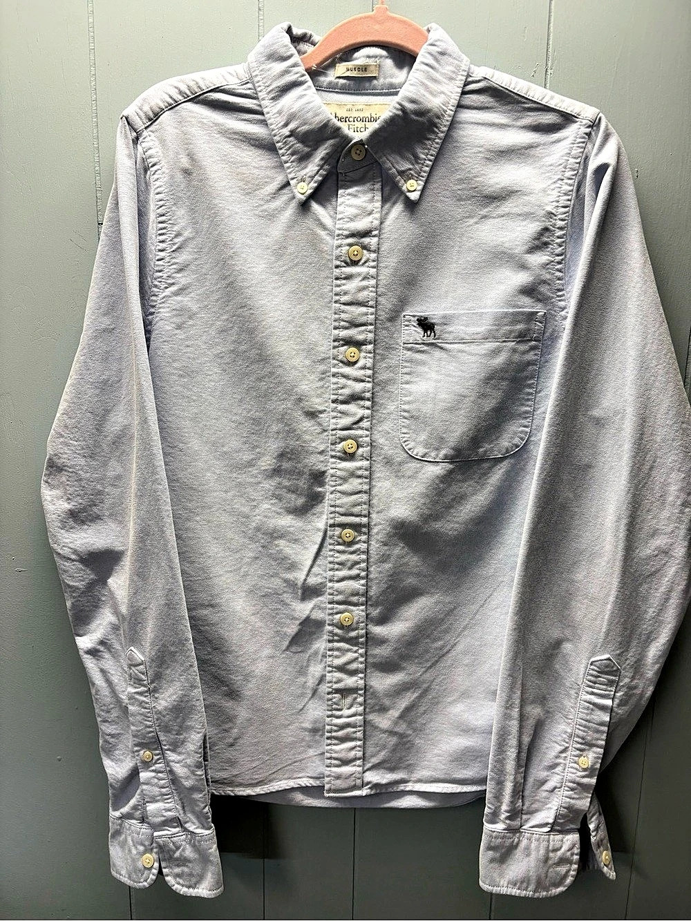 Abercrombie & Fitch Muscle Fit Oxford Button-Down Shirt Blue Large